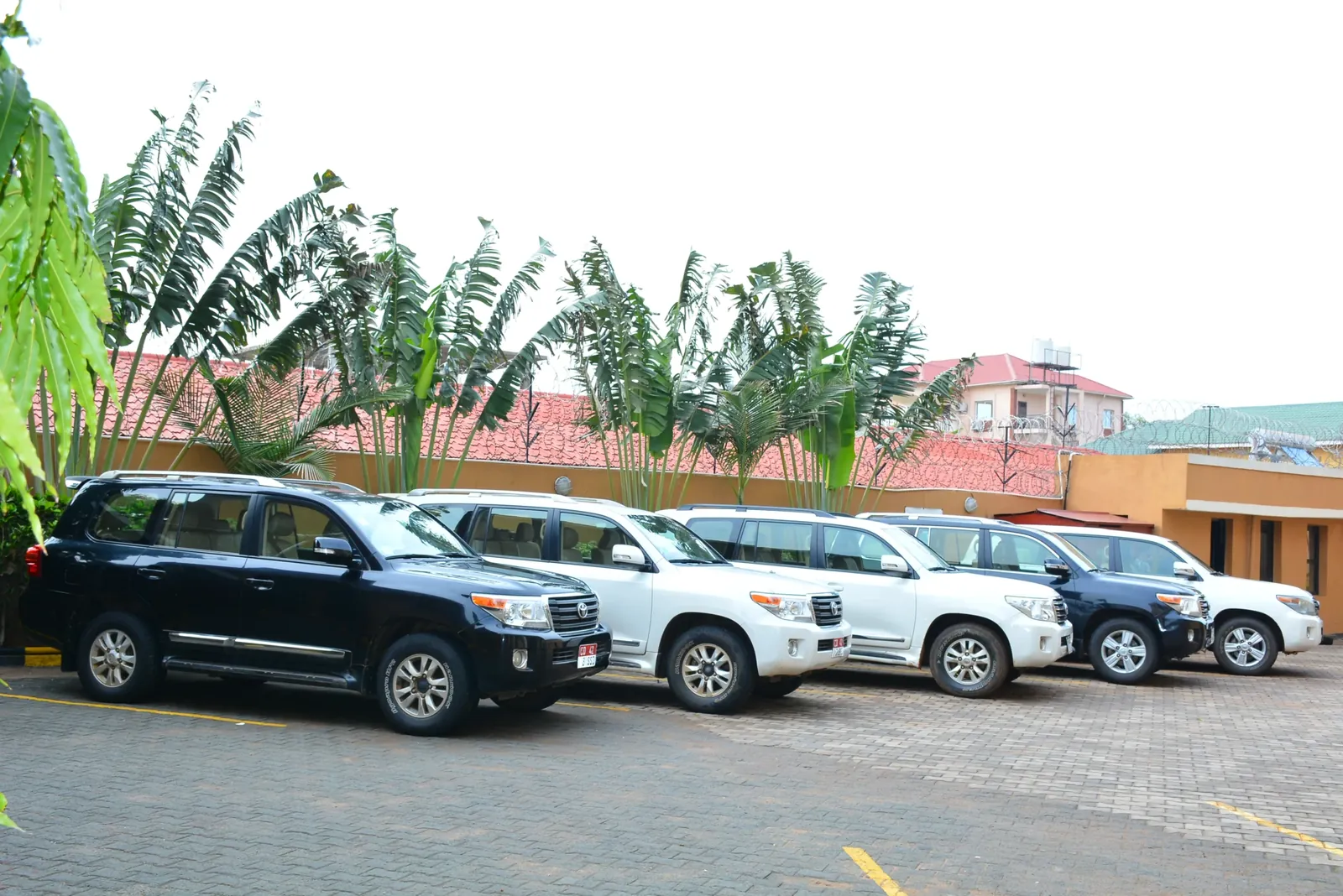Fleet of Land Cruisers – vehicles for hire and sale, Tibleino General Trading